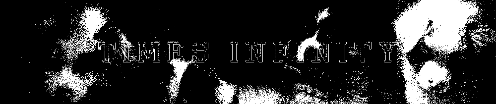 times infinity banner